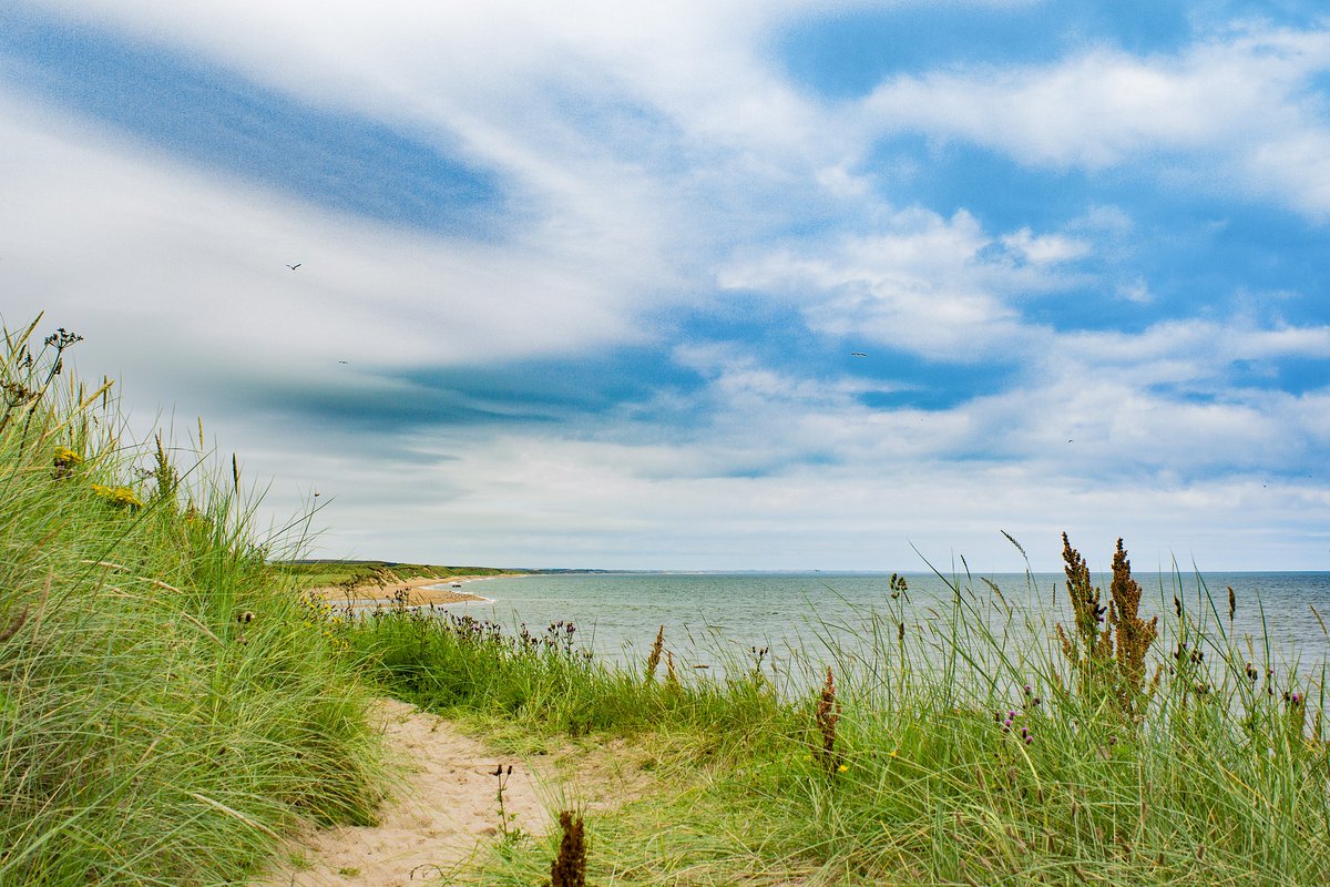 National Centre for Resilience (@resiliencescot) on Twitter photo Contribute to the #WellAdaptedUK report - The <a href="/theCCCuk/">Climate Change Committee</a> is calling for evidence on climate adaptation in the UK. The MACC Hub host the first in their webinar series on the 10th June. Join the webinar to learn more with experts from CCC & Defra: events.teams.microsoft.com/event/99741788… Contribute to the #WellAdaptedUK report - The <a href="/theCCCuk/">Climate Change Committee</a> is calling for evidence on climate adaptation in the UK. The MACC Hub host the first in their webinar series on the 10th June. Join the webinar to learn more with experts from CCC & Defra: events.teams.microsoft.com/event/99741788…