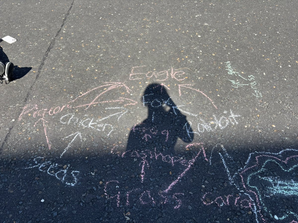 MissBall12's tweet photo. N5s made the most of the sun to design their own food webs https://t.co/tqjF9GN0wy
