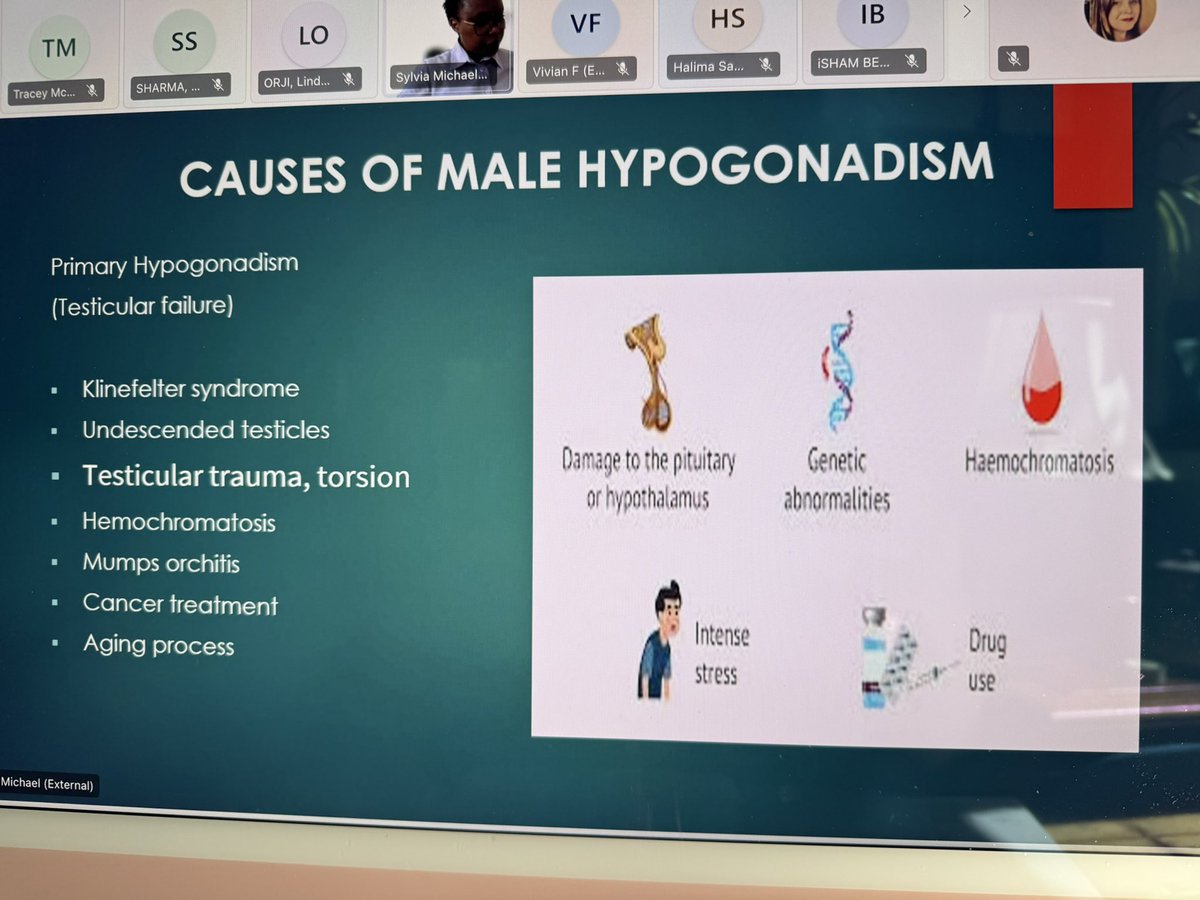The final session of the day welcomes Sylvia Michael, senior endocrine CNS from <a href="/uclh/">UCLH</a> focusing on prescribing in male hypogonadism