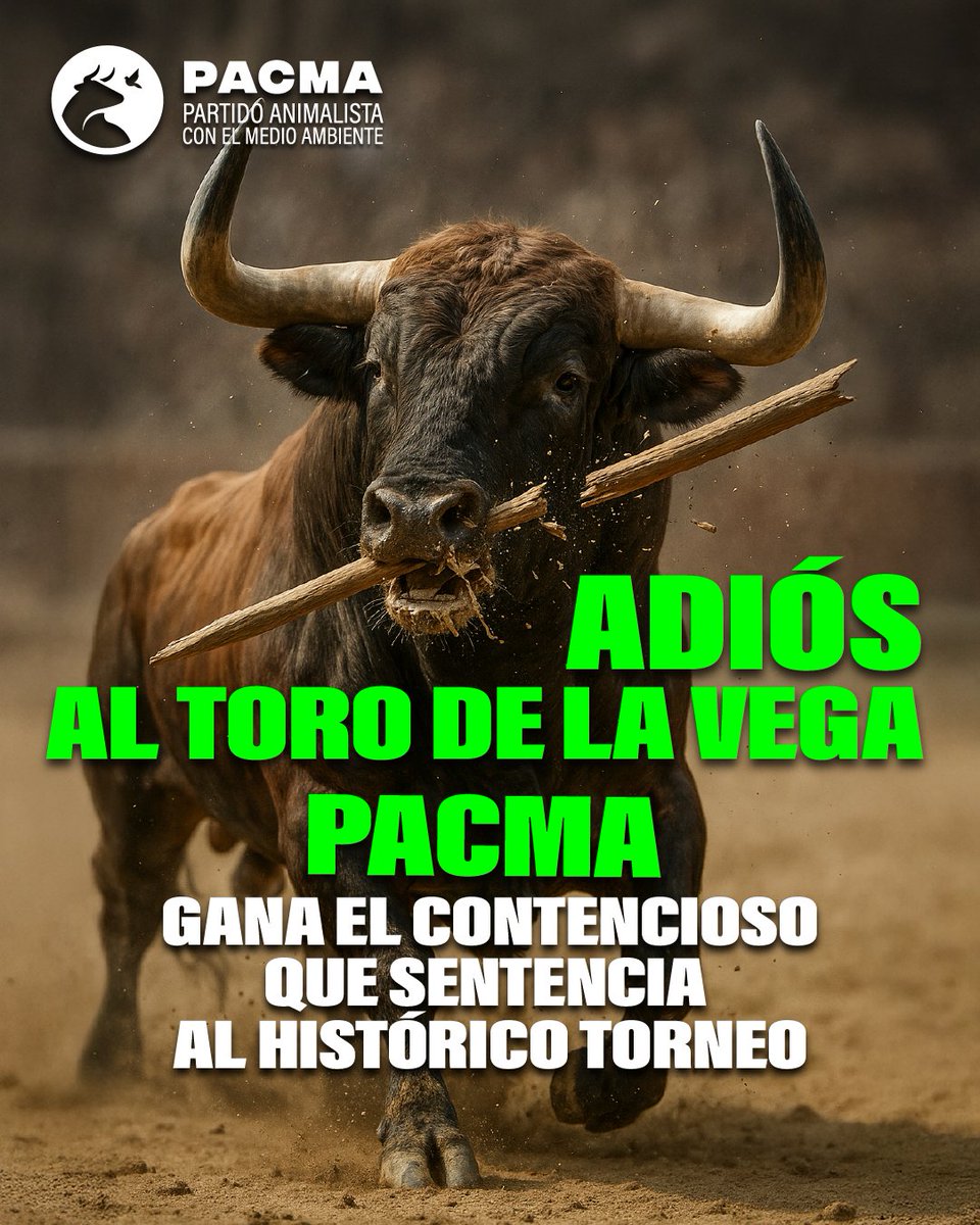 🎉¡VICTORIA HISTÓRICA!

Tras 3 años de batalla judicial, el Tribunal Superior de Justicia de Castilla y León nos da la razón:
🔴No se podrá alancear al toro nunca más en el Toro de la Vega.

La sentencia anula el acuerdo del Ayuntamiento de Tordesillas y la conformidad de la