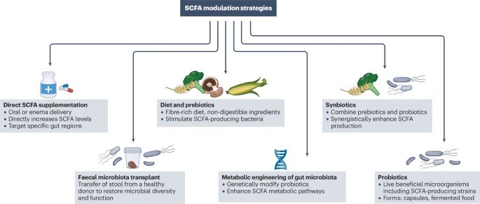 Short-chain fatty acids: anti-inflammatory powerhouses derived by the gut microbiota in response to fiber. Some #probiotics can also ⬆️ SCFAs. 

#MedTwitter #GITwitter #microbiome 

nature.com/articles/s4157…