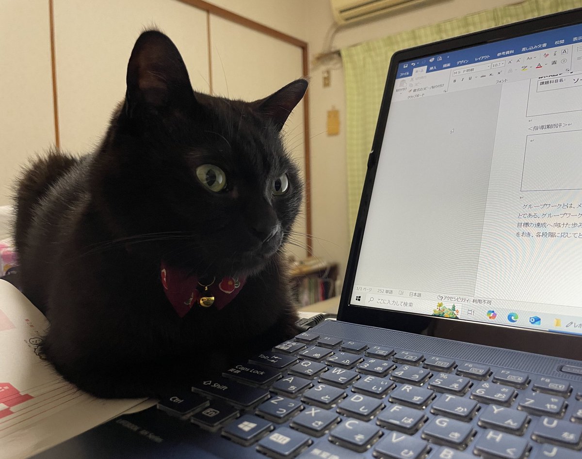 ちゃんと勉強してるか見にくる(近い)