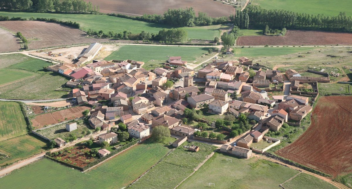 Boina Fest tweet media