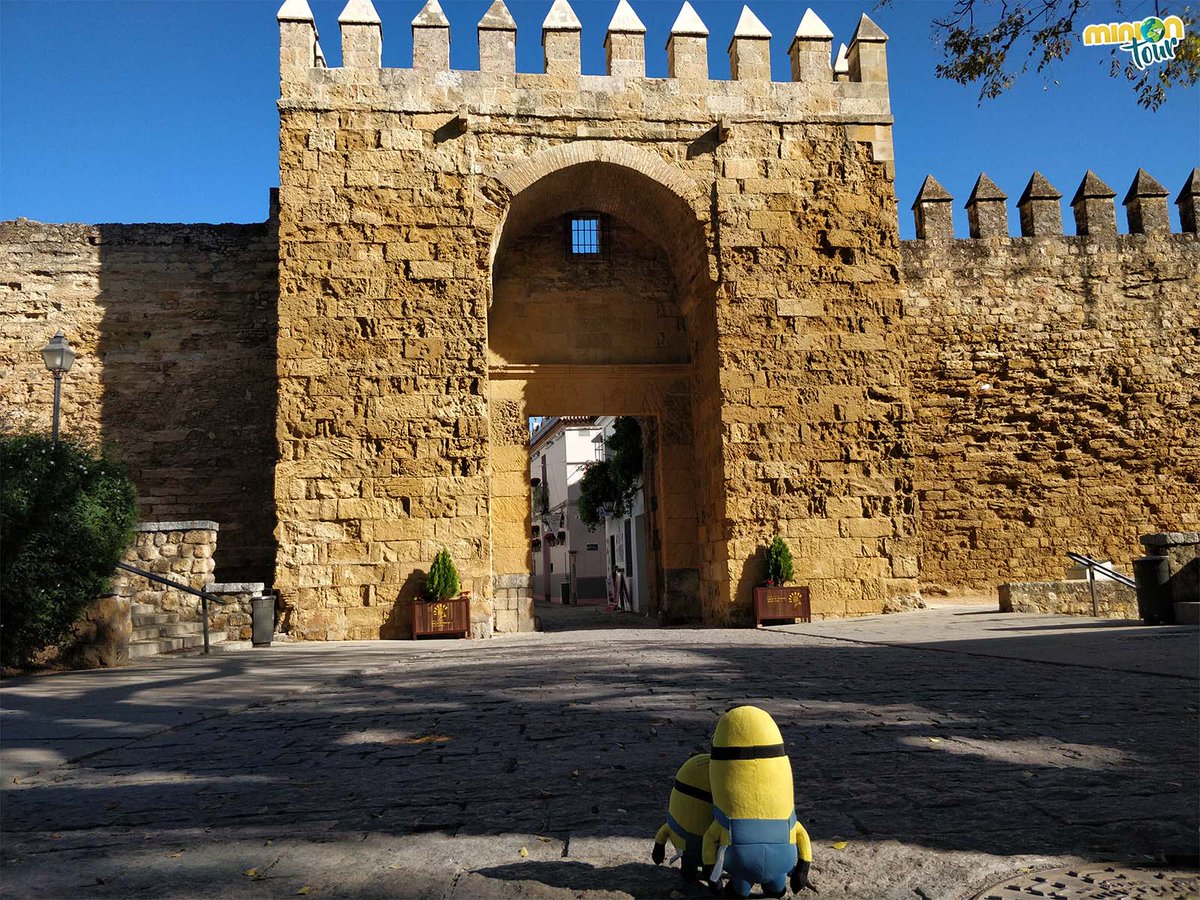 MiniOnTourES's tweet image. La Puerta de Almodóvar daba entrada al barrio de la Judería ✡️ y es la única que ha sobrevivido de las grandes puertas medievales que rodeaban #Córdoba 🤩. Qué ver en un finde
👉 bit.ly/QueVerCordoba
@viveandalucia @AndaluciaTB @CordobaESP @cordoba_turismo @ayuncordoba_es