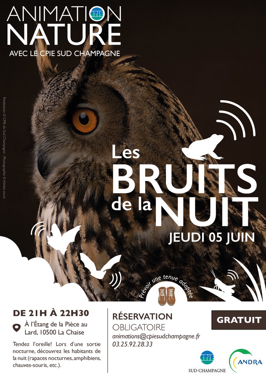 CpiePays's tweet photo. Tendez l'oreille! Et venez découvrir les habitants de la nuit (rapaces nocturnes, chauves-souris, amphibiens, etc.) lors d'une sortie nocturne. 🦉🦇🌙

📅Le jeudi 05 juin de 21h à 22h30
📍 RDV à l'étang de la Pièce au Lard 10500 La Chaise

#SortieNature https://t.co/EUsqaAJDry