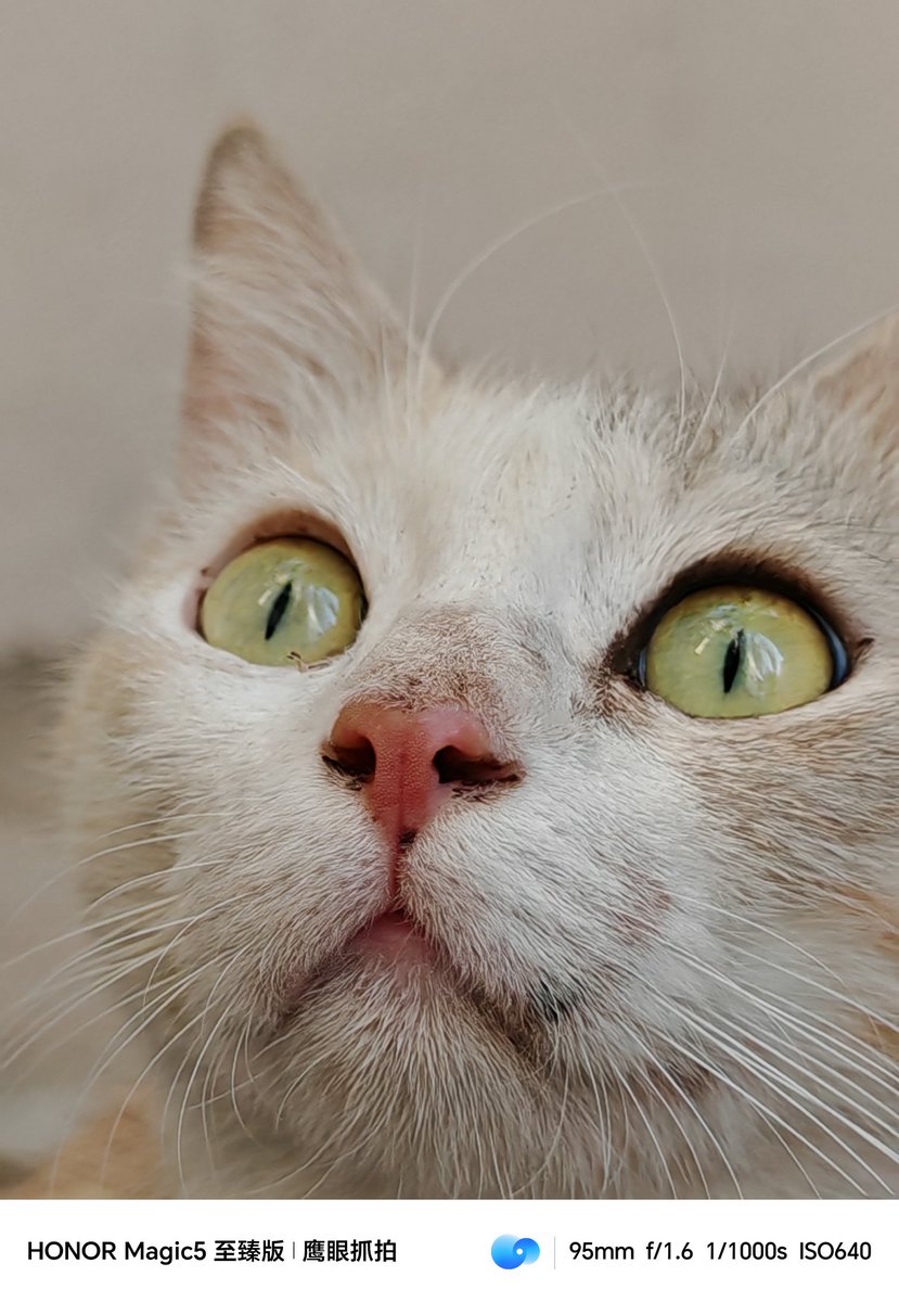 I3d3m's tweet image. #Magic5ultimate
Still doing great
I hope you are well and peace
Greetings to all 🌹💌👍