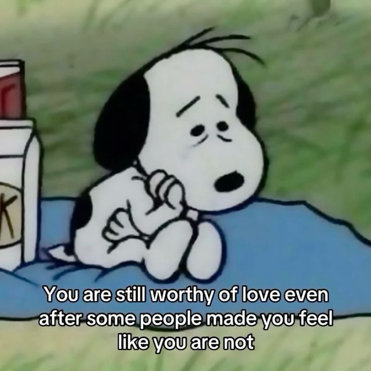 RespectfulMemes's tweet image. 