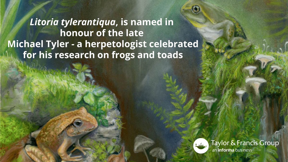 Taylor&Francis News (@tandfnewsroom) on Twitter photo Scientists have discovered the oldest ancestor for all Australian tree frogs🐸
Publishing their findings in <a href="/JVP_vertpaleo/">Journal of Vertebrate Paleontology</a>, <a href="/RoyMFarman/">Roy Farman 🐸</a> et al. reveal that this 55 million-year-old frog extends the fossil record by approximately 30 million years.
More👇
tandfonline.com/doi/full/10.10… Scientists have discovered the oldest ancestor for all Australian tree frogs🐸
Publishing their findings in <a href="/JVP_vertpaleo/">Journal of Vertebrate Paleontology</a>, <a href="/RoyMFarman/">Roy Farman 🐸</a> et al. reveal that this 55 million-year-old frog extends the fossil record by approximately 30 million years.
More👇
tandfonline.com/doi/full/10.10…