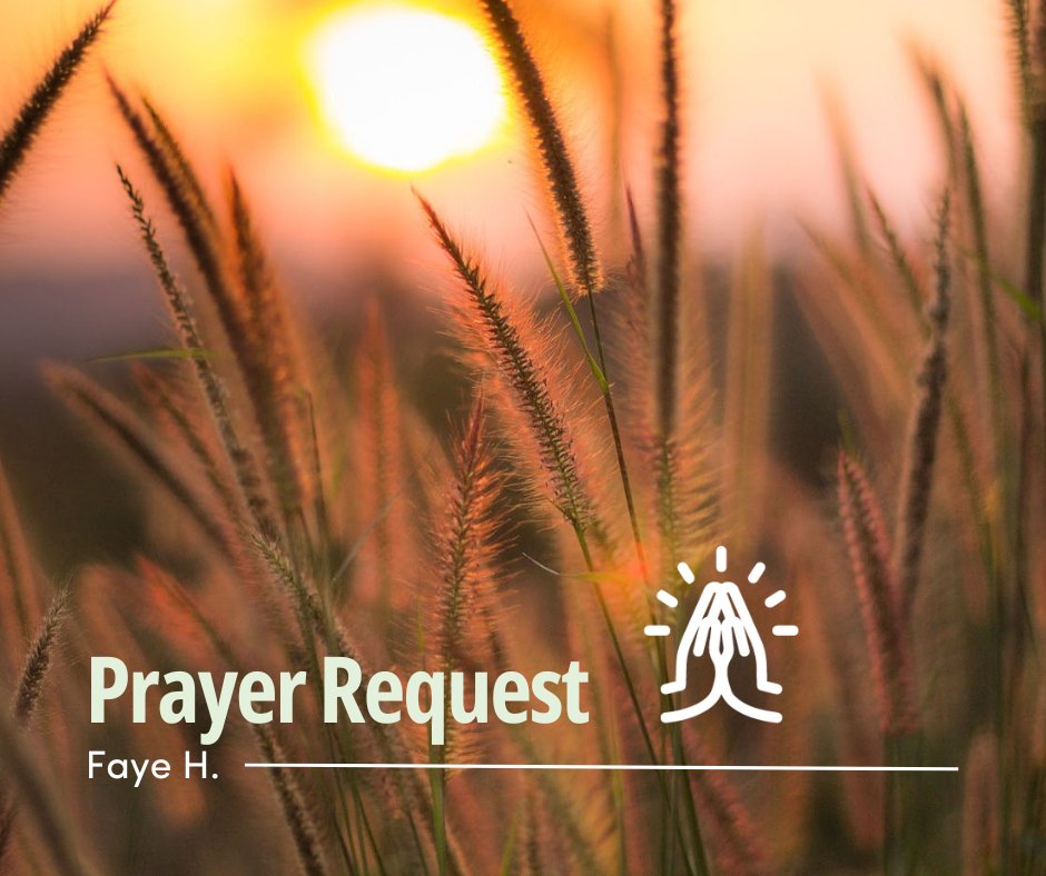 Join us in prayer this week for #MissionDignity recipient Faye H., who was recently in a car wreck that totaled her car and injured her leg. Pray for healing and provision. Faye served the Lord with her late husband, Paul, for 36 years.

Learn more: guidestone.org/Mission-Dignit…