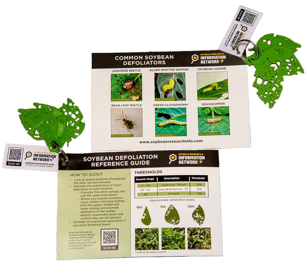 SoybeanResearchInfoNetwork (@soyresearchinfo) on Twitter photo #SoySnippets: Can you identify 10% leaf defoliation? 30%? <a href="/CFAES_OSU/">Ohio State - CFAES</a> entomology #SoyResearch says we overestimate. 3D-printed guides from NCSRP and <a href="/Ohiosoycouncil/">Ohio Soybean Council</a> improve accuracy. #USSoy bit.ly/3pjLCZ3 #SoySnippets: Can you identify 10% leaf defoliation? 30%? <a href="/CFAES_OSU/">Ohio State - CFAES</a> entomology #SoyResearch says we overestimate. 3D-printed guides from NCSRP and <a href="/Ohiosoycouncil/">Ohio Soybean Council</a> improve accuracy. #USSoy bit.ly/3pjLCZ3