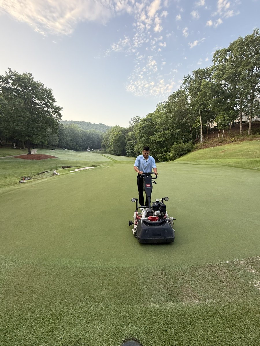 Professional Turfgrass Services tweet media