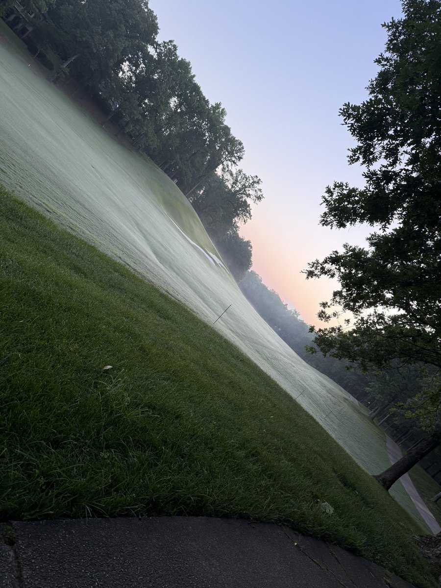 Professional Turfgrass Services tweet media