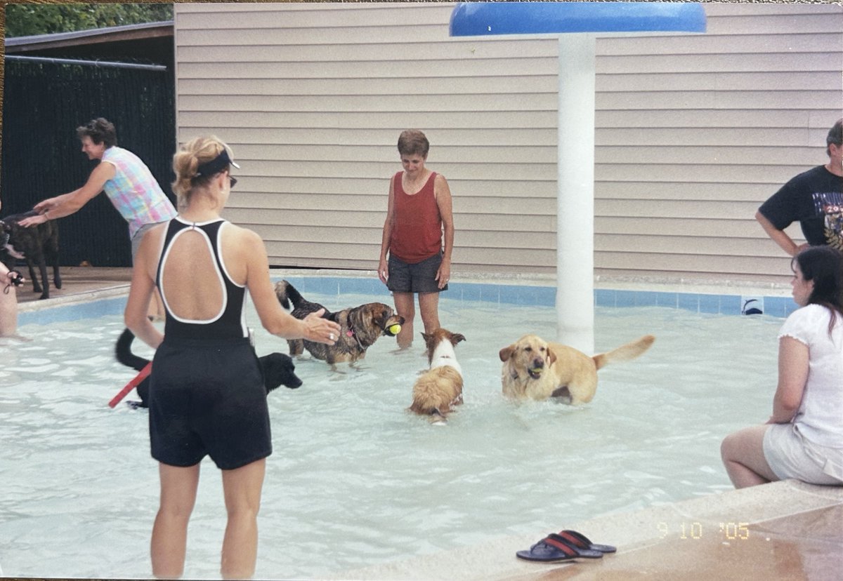45 days until our 60th Anniversary celebration!

Today's archive find are pictures from Doggie Dip Day back in 2005.