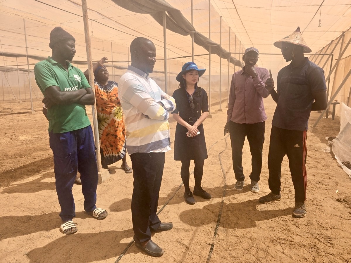 GGGI #Senegal and the Republic of Korea are collaborating to promote #SustainableDevelopment in Senegal. From April 14 to 17, representatives from both organizations visited greenhouses and irrigation sites in Saint-Louis.