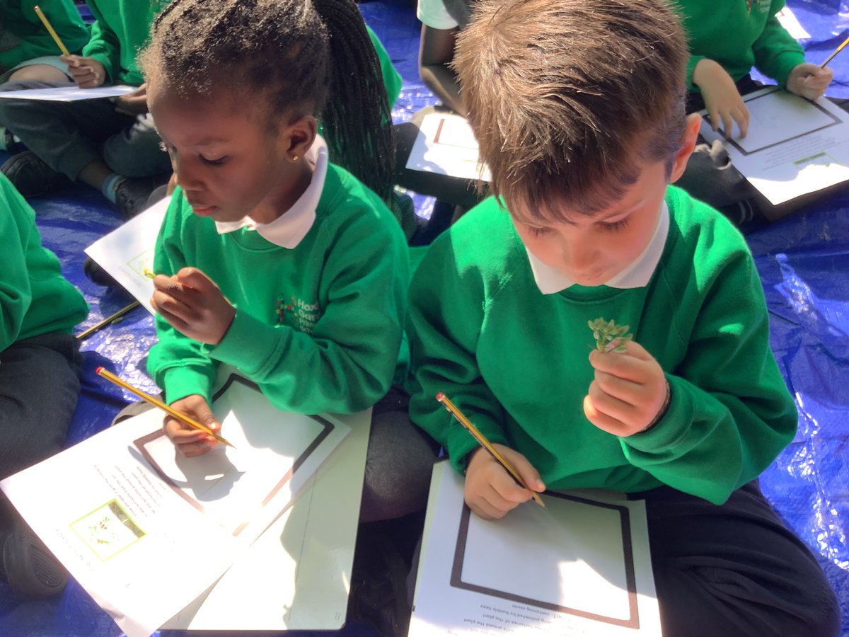 Year 1 had a great #gardening workshop with our gardener, Alice! They learnt about different #plant parts, what we eat, and tasted fresh goodies from our school garden. 🌱🥕🍓🌿 #OutdoorLearning #SchoolGarden #HealthyEating