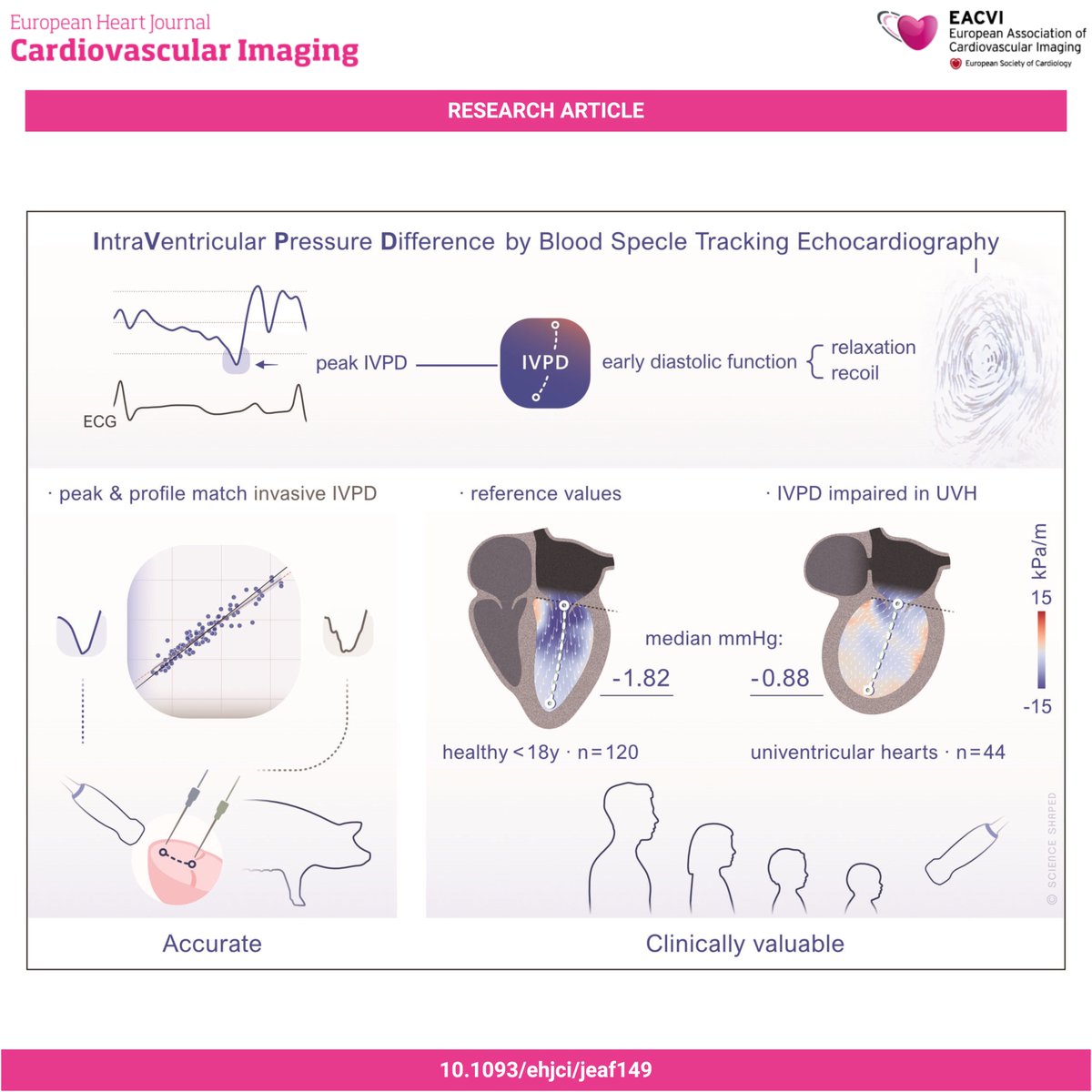 #EHJCVI 🔍 Can we estimate intraventricular pressure difference using TTE? In a porcine model, it showed strong correlation with invasive data (R = 0.95) What if we use it in children? 🧒 Read more 👉 doi.org/10.1093/ehjci/…
