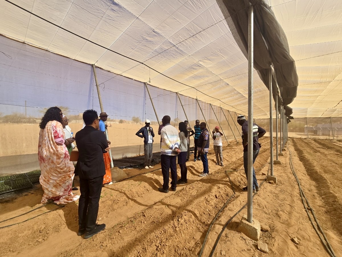 The Counselor from the Korean Embassy conducted a site assessment to review operations and community engagement and observed successful cultivation supported by #SolarIrrigation.