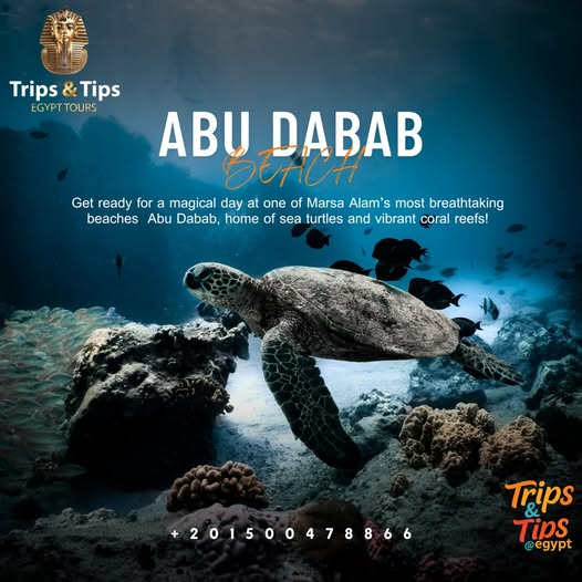 TRIPS_TIPS11's tweet photo. πΈ Discover Abu Dabab Beach β Marsa Alamβs natural paradise! π’π
Snorkel with turtles, relax on white sands, and embrace the Red Sea magic.
π Marsa Alam
π² 01500478866
π https://t.co/DtRhqIemDl
#AbuDababBeach #MarsaAlam #SwimWithTurtles #TripsAndTipsEgypt #SnorkelingAdventure https://t.co/ULKarMemUp