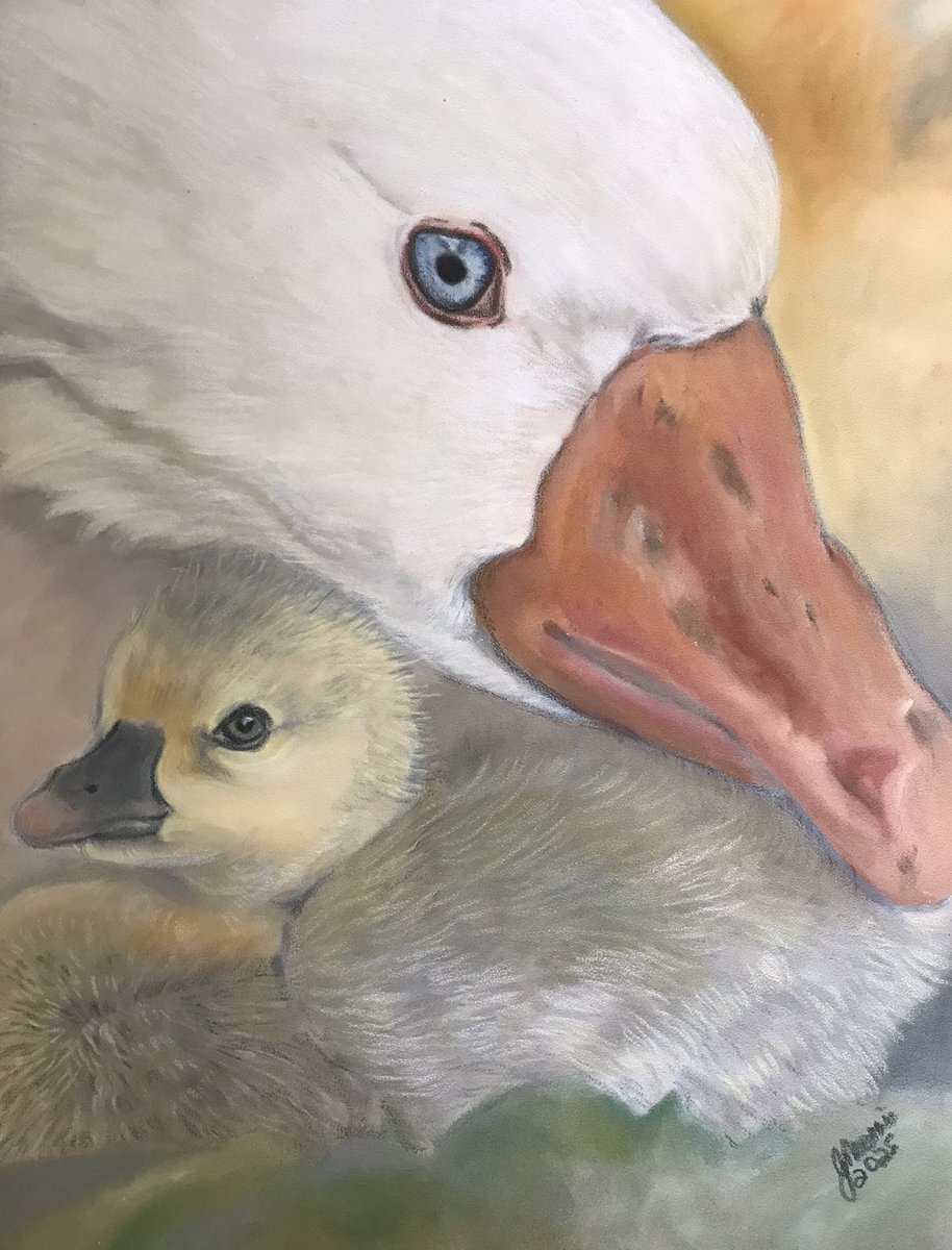 My painting of a goose and gosling 👩‍🎨