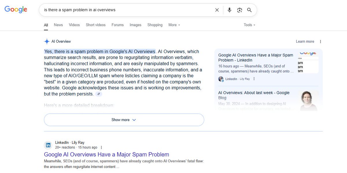 Lily Ray 😏 tweet media