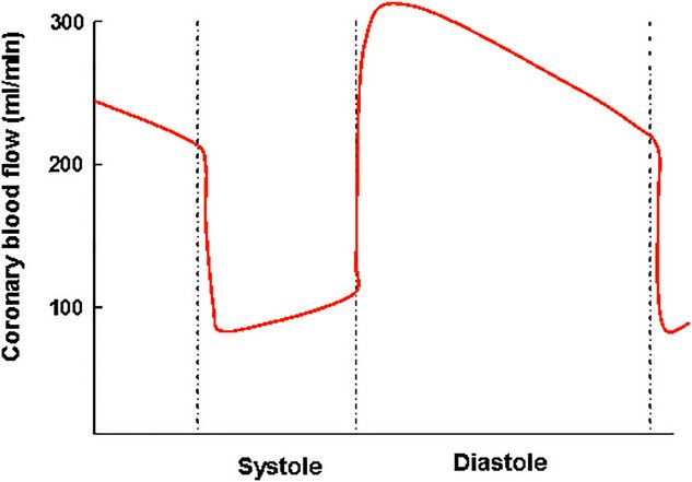 Experimental Physiology (@expphysiol) on Twitter photo Cardiac output limits maximal #oxygen consumption, but what limits maximal #cardiac output? <a href="/ileximius/">Ilkka Heinonen</a> (<a href="/TurkuPETCentre/">Turku PET Centre</a>) shares more in this #Review article!
buff.ly/oFtqBkW Cardiac output limits maximal #oxygen consumption, but what limits maximal #cardiac output? <a href="/ileximius/">Ilkka Heinonen</a> (<a href="/TurkuPETCentre/">Turku PET Centre</a>) shares more in this #Review article!
buff.ly/oFtqBkW