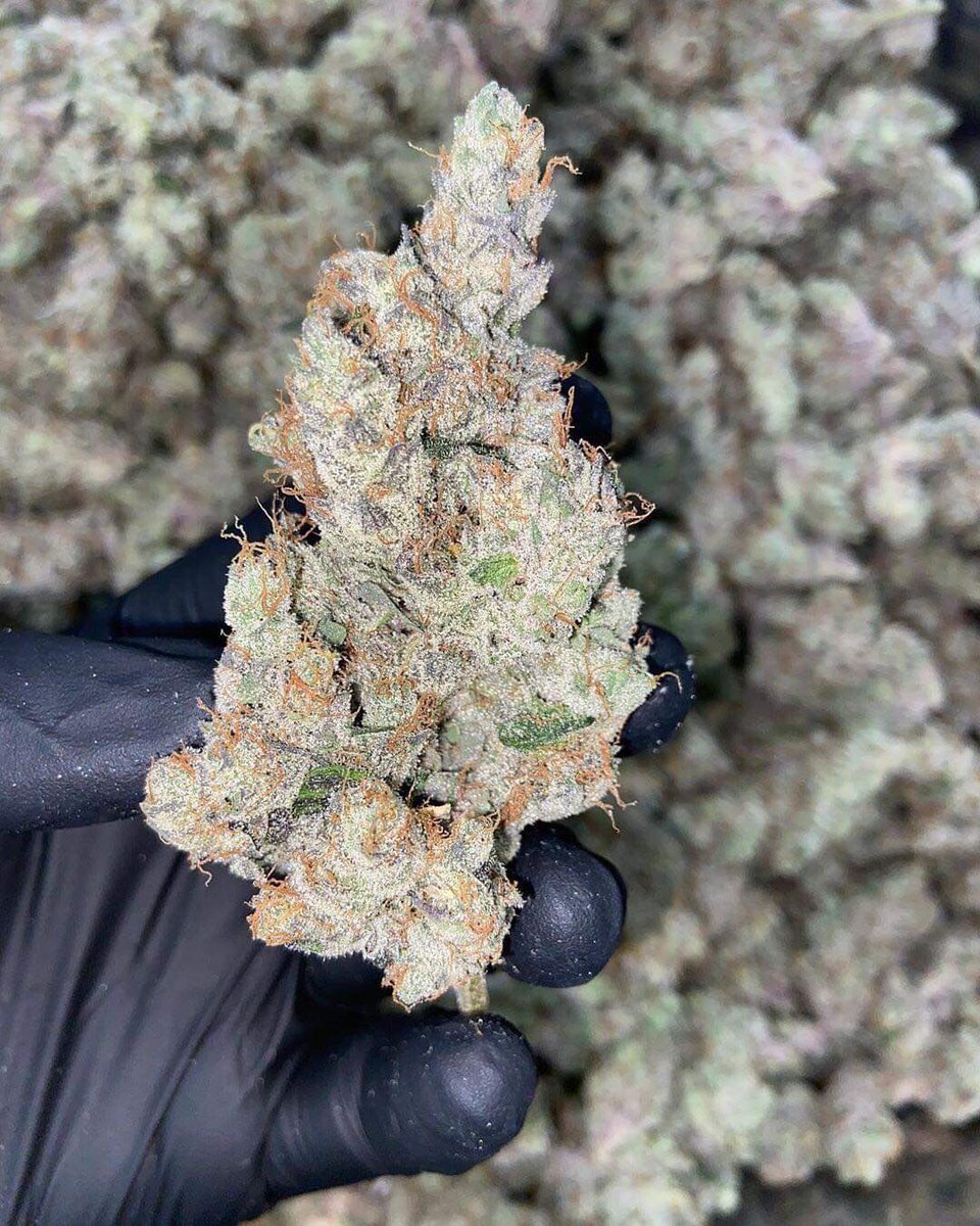 Guess the strain ?