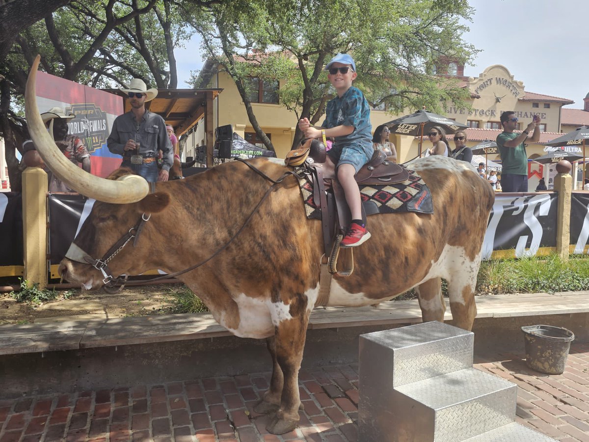 Neil Dodds tweet media