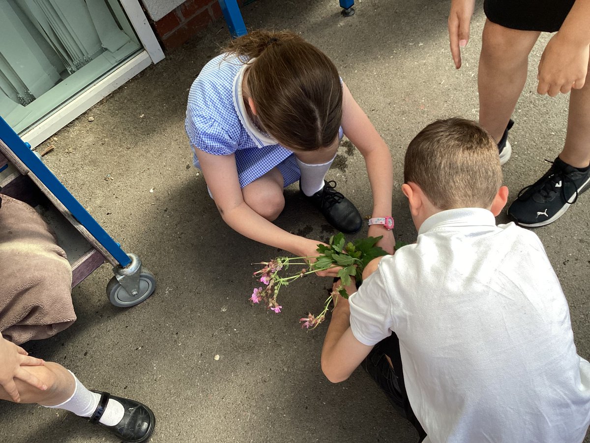 Newburgh Primary tweet media