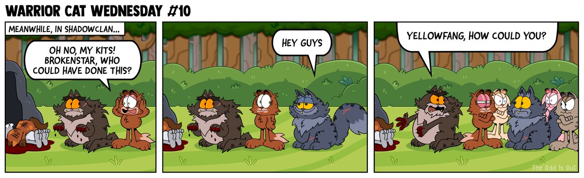 theodd1sout's tweet image. My birthday wish is for all of you to have an amazing WARRIOR CAT WEDNESDAY!!