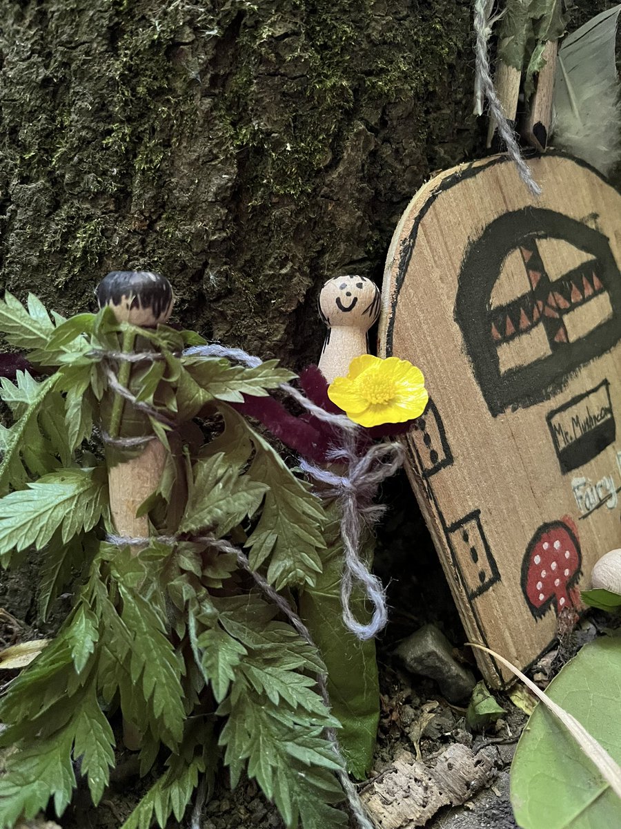 Forest Fairy Friends (collaboration in action - years 5&amp;6 hand painted the doors and year 3 made peg doll Forest fairy friends ).