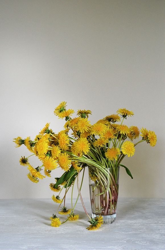 Doveitte's tweet image. ㅤ 

To my dearest, @Hoverish.   

ㅤㅤ