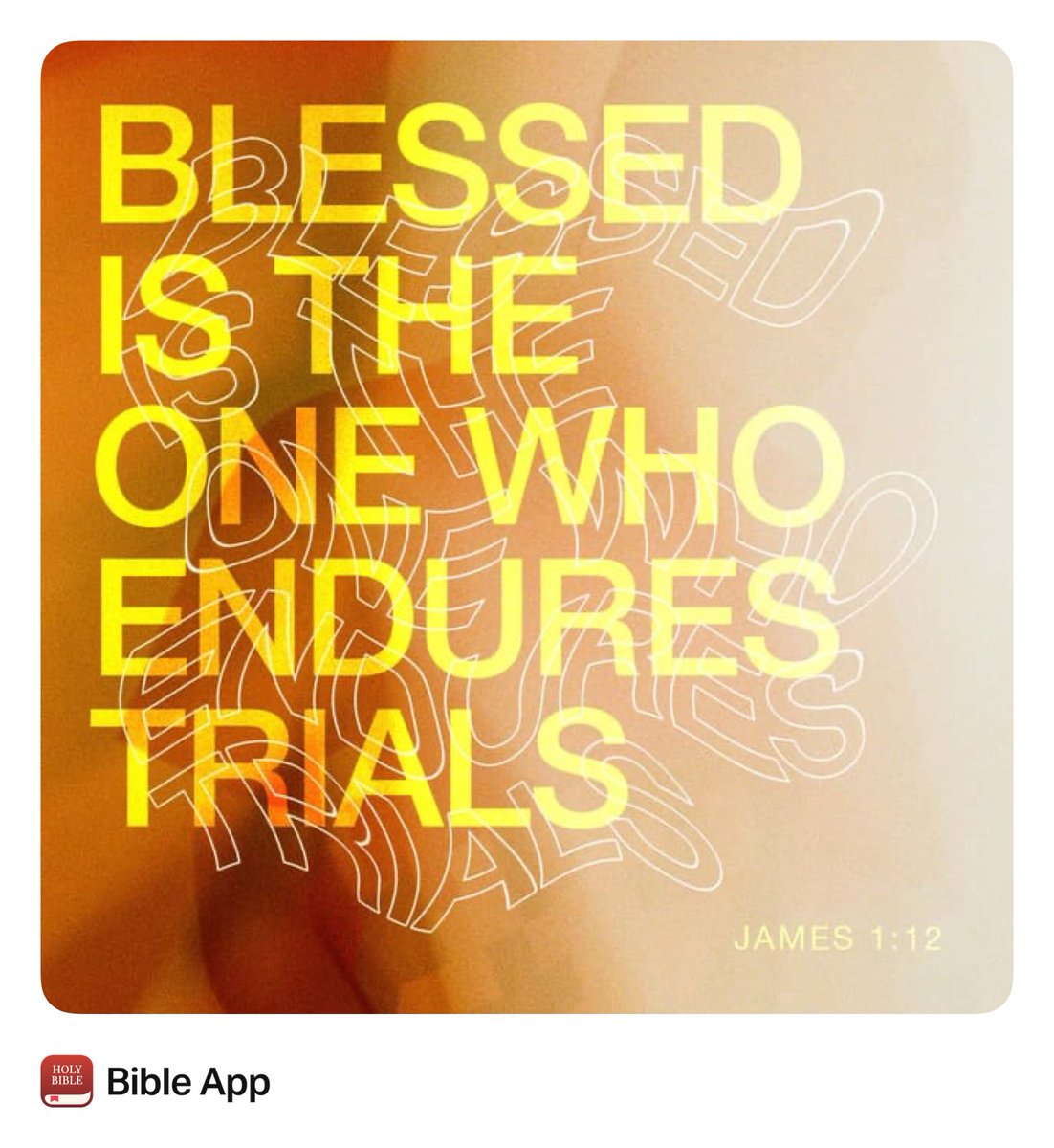 dmuck10's tweet image. 