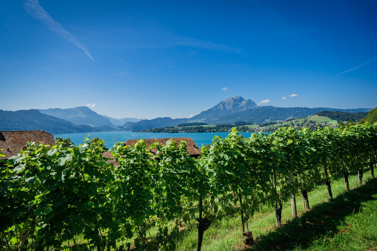 ☀️🥾AB AUF DEN WALDSTÄTTERWEG🥾☀️
Der Waldstätterweg ist ein Kultur- und Wanderweg, der in sieben Etappen rund um den malerischen Vierwaldstättersee führt.😍Die gesamte Route dauert etwa sieben Tage und bietet unvergessliche Ausblicke.🌄
Mehr Infos 👉bit.ly/waldstaetterweg