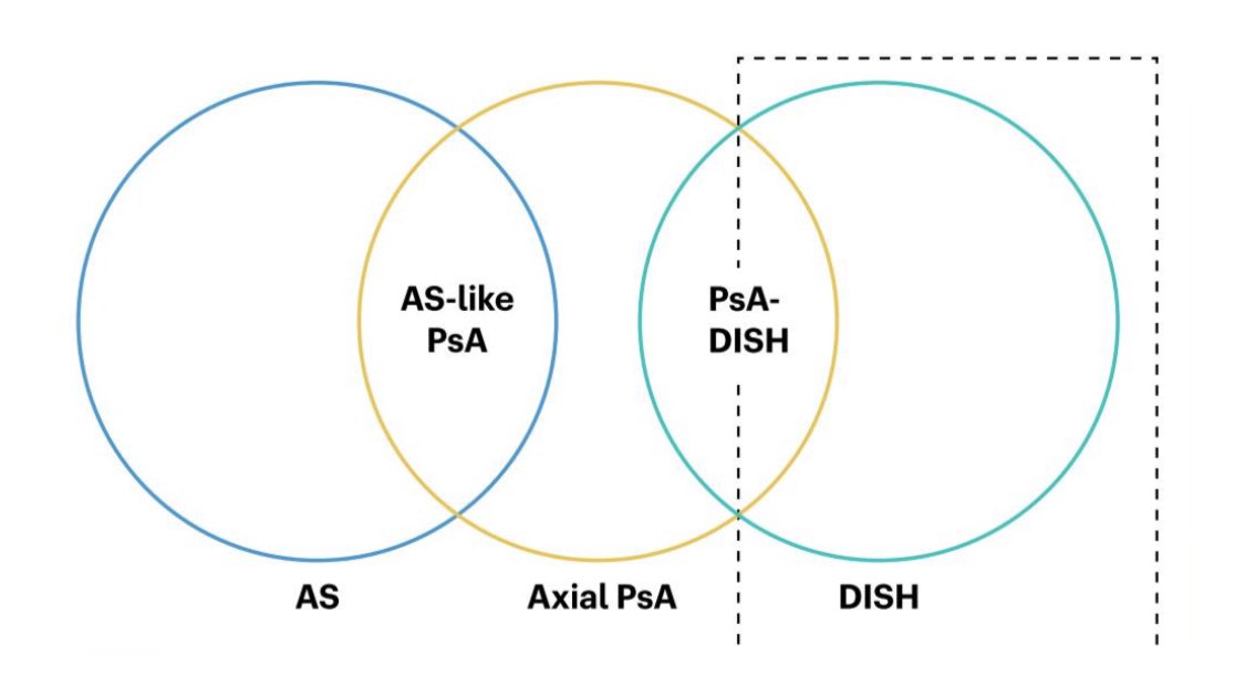 Fantástica charla de la Dra. Clavaguera sobre la delgada línea entre la APs axial y el DISH #SER2025

🔸Comparten síndrome metabólico 
🔸Comparten entesitis (entesofitos)
🔸Comparten afectación sacroiliaca
🔸Comparten sindesmofitos

Tema apasionante que me encanta 🙌🏻