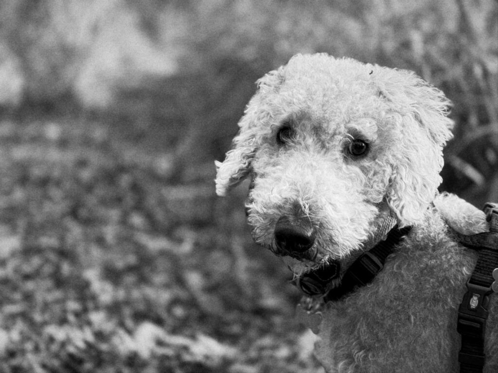 ForceChange tweet media