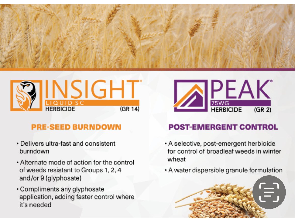 Ray Janssen (@ray_janssen) on Twitter photo Gowan Canada has burn-down and in-crop herbicide solutions for corn and cereals <a href="/corn/">日本と米軍を追い出し 琉球を取り戻す。</a> @cereals <a href="/wheat/">JUANITA Claus</a> <a href="/gowancanada/">Gowan Canada</a> <a href="/Gowan_QC_Marit/">Gowan Canada - Quebec & Maritimes (Slim Doghri)</a> Gowan Canada has burn-down and in-crop herbicide solutions for corn and cereals <a href="/corn/">日本と米軍を追い出し 琉球を取り戻す。</a> @cereals <a href="/wheat/">JUANITA Claus</a> <a href="/gowancanada/">Gowan Canada</a> <a href="/Gowan_QC_Marit/">Gowan Canada - Quebec & Maritimes (Slim Doghri)</a>