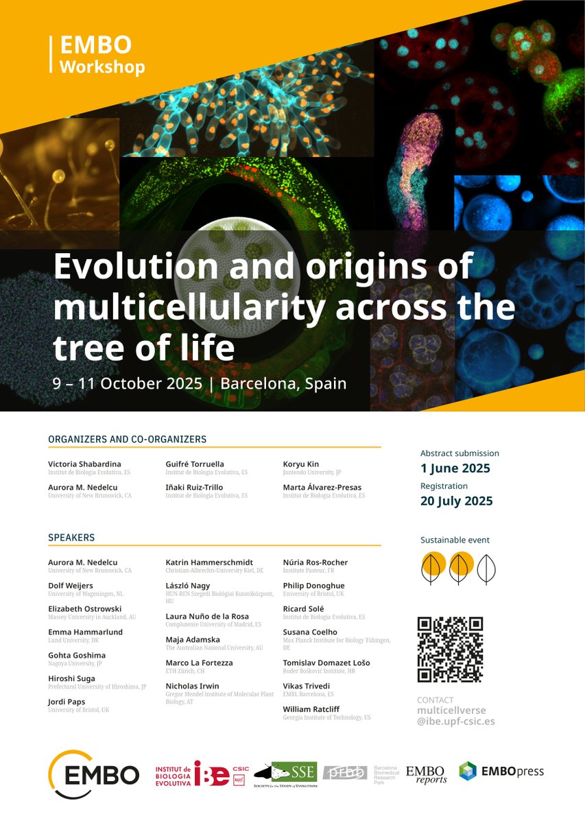 Institute of Evolutionary Biology (IBE) (@ibe_barcelona) on Twitter photo 📣 The <a href="/multicellgenome/">Iñaki Ruiz-Trillo</a> of <a href="/IBE_Barcelona/">Institute of Evolutionary Biology (IBE)</a> organizes the <a href="/EMBO/">EMBO</a> Workshop "Evolution and origins of multicellularity across the tree of life"🧬🦠✨
📆 9-11 October, 2025
📍 Auditorium <a href="/the_prbb/">Biomedicina BCN</a>
⌛ Abstract submission: 1st June
👉meetings.embo.org/event/25-multi… 📣 The <a href="/multicellgenome/">Iñaki Ruiz-Trillo</a> of <a href="/IBE_Barcelona/">Institute of Evolutionary Biology (IBE)</a> organizes the <a href="/EMBO/">EMBO</a> Workshop "Evolution and origins of multicellularity across the tree of life"🧬🦠✨
📆 9-11 October, 2025
📍 Auditorium <a href="/the_prbb/">Biomedicina BCN</a>
⌛ Abstract submission: 1st June
👉meetings.embo.org/event/25-multi…