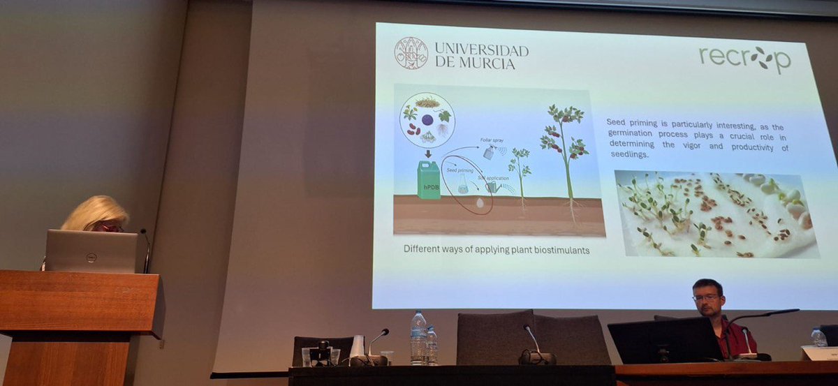 Recrop22157's tweet image. Maria Angeles Pedreno (University of Murcia 🇪🇸):
🌱Plant cell culture biostimulants fight salinity in tomato seeds. 
#IntegrativeAgriculture #RECROP2025 #FoodSecurity #ClimateChange #RECROPCOST #CropResilience