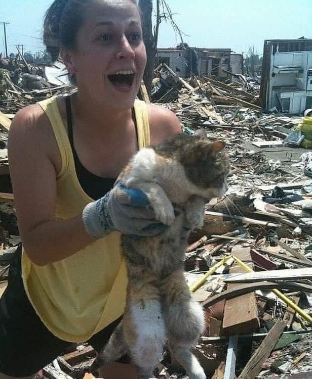 Tweets of Dogs (@tweeetsofdogs) on Twitter photo This woman lost everything but in the midst of her sadness, she found in these rubble what she loves most, her cat If Animals Matter to You, Leave a Red Heart💕❤️ This woman lost everything but in the midst of her sadness, she found in these rubble what she loves most, her cat If Animals Matter to You, Leave a Red Heart💕❤️