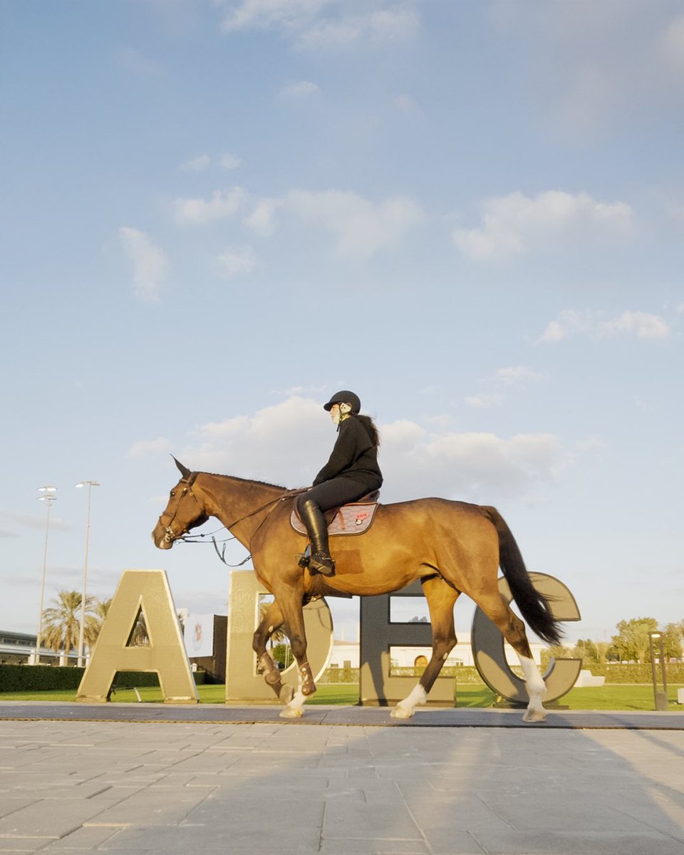 Ambling with grace in the heart of ADEC, where heritage meets elegance.

استعراض للجمال والرشاقة في قلب نادي أبوظبي للفروسية، حيث يلتقي الإرث 
العريق بالرقي والفخامة.

#ADEC #AbuDhabiEquestrianClub #AbuDhabi #InAbuDhabi #horses #arabianhorse

#نادي_أبوظبي_للفروسية #أبوظبي