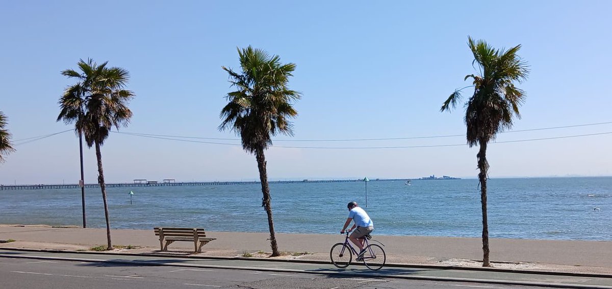 Ever moved abroad with your pet? Share your experience below ⬇️