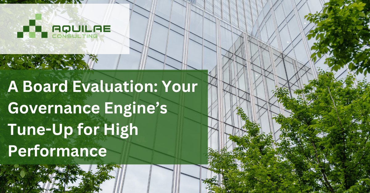 At <a href="/AquilaeCons/">Aquilae Consulting LLC</a>, we help boards assess their strengths, pinpoint areas for improvement &amp; implement strategies for peak perf. Whether you're aiming for better decision-making &amp; stronger compliance, our customized evaluations provide the roadmap. muhammad@aquilaeconsulting.com