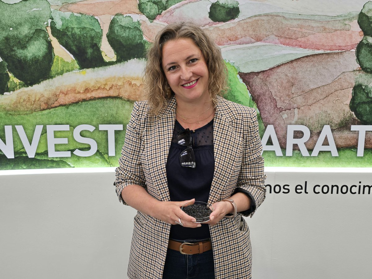 ujaen's tweet photo. La investigadora de la UJA, Eva Montes Moya, presenta en #Expoliva el proyecto ¿Quién levantó los olivos?, que investiga el origen de la olivicultura en el Alto Guadalquivir y cuándo se introdujo el cultivo del olivar en la región.
https://t.co/G1ZFEgUocX https://t.co/EQkC4H7xGs