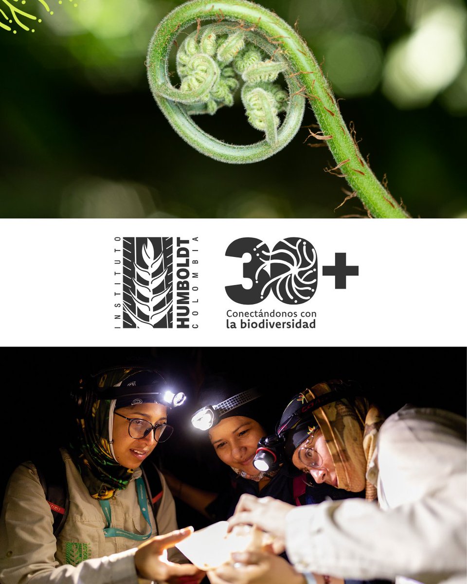 Hace 30 años Colombia tomó una decisión histórica: crear el <a href="/inst_humboldt/">Instituto Humboldt</a> como pilar científico en el país. Esto sembró las bases para una mirada científica, rigurosa y comprometida con nuestra biodiversidad.

Desde <a href="/WWFColombia/">WWF Colombia</a> celebramos sus hitos: 30.humboldt.org.co