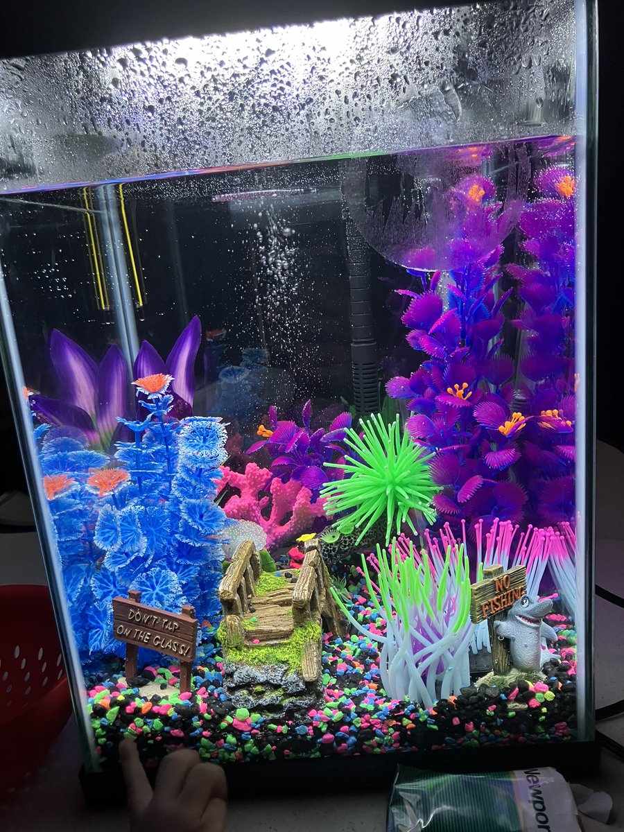 RICH OFF RISK 🥇🦅 tweet media