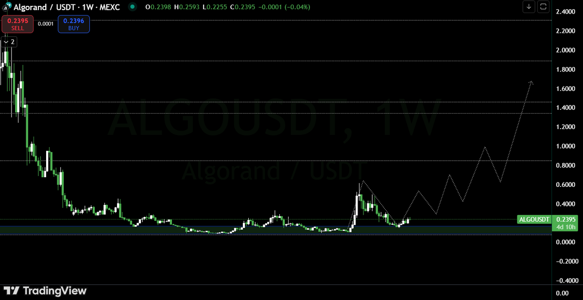 Christiaan tweet media
