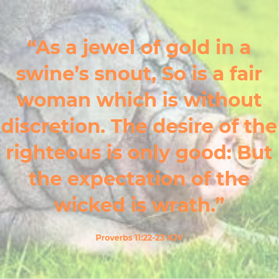 My fellow believers, beware of the hogs.