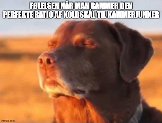 SM1LE (@sm1leval) on Twitter photo 