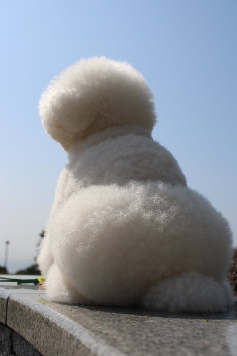 そういえば前に車運転してて
信号のない横断歩道で犬連れが横断して…
途中で💩きばりだした😂
すごい申し訳なさそうにされたけど
私達はもう爆笑で、こっちも犬いるから安心してーって犬見せたなぁ🤣
今でも思い出してほっこりする笑