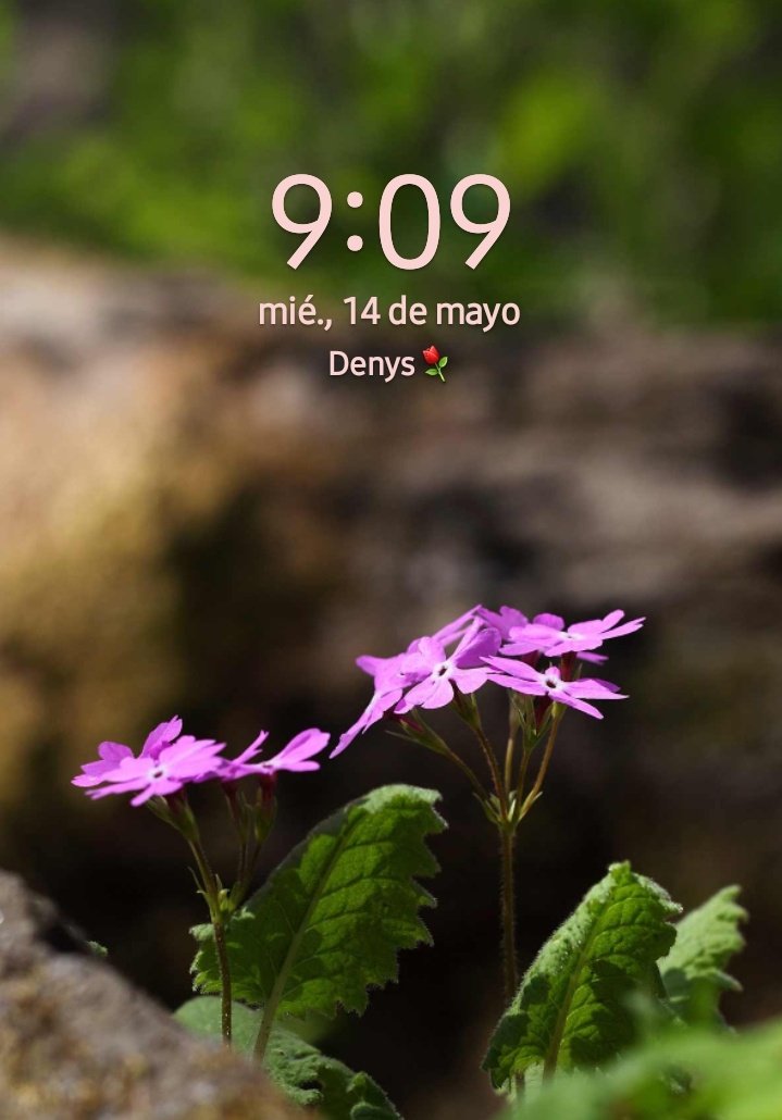 _Sweet_Dennys's tweet image. Díaaaas 
      pedacitos
                de tierra... 💕
